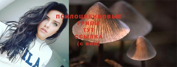 а пвп мука Гусь-Хрустальный