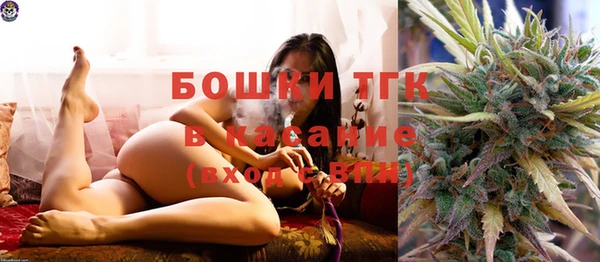 первитин Гусиноозёрск