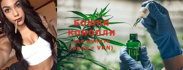 первитин Гусиноозёрск
