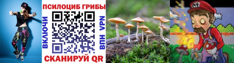кракен ТОР  Зуевка  Псилоцибиновые грибы Psilocybine cubensis 