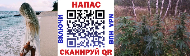 Каннабис Amnesia  Зуевка 